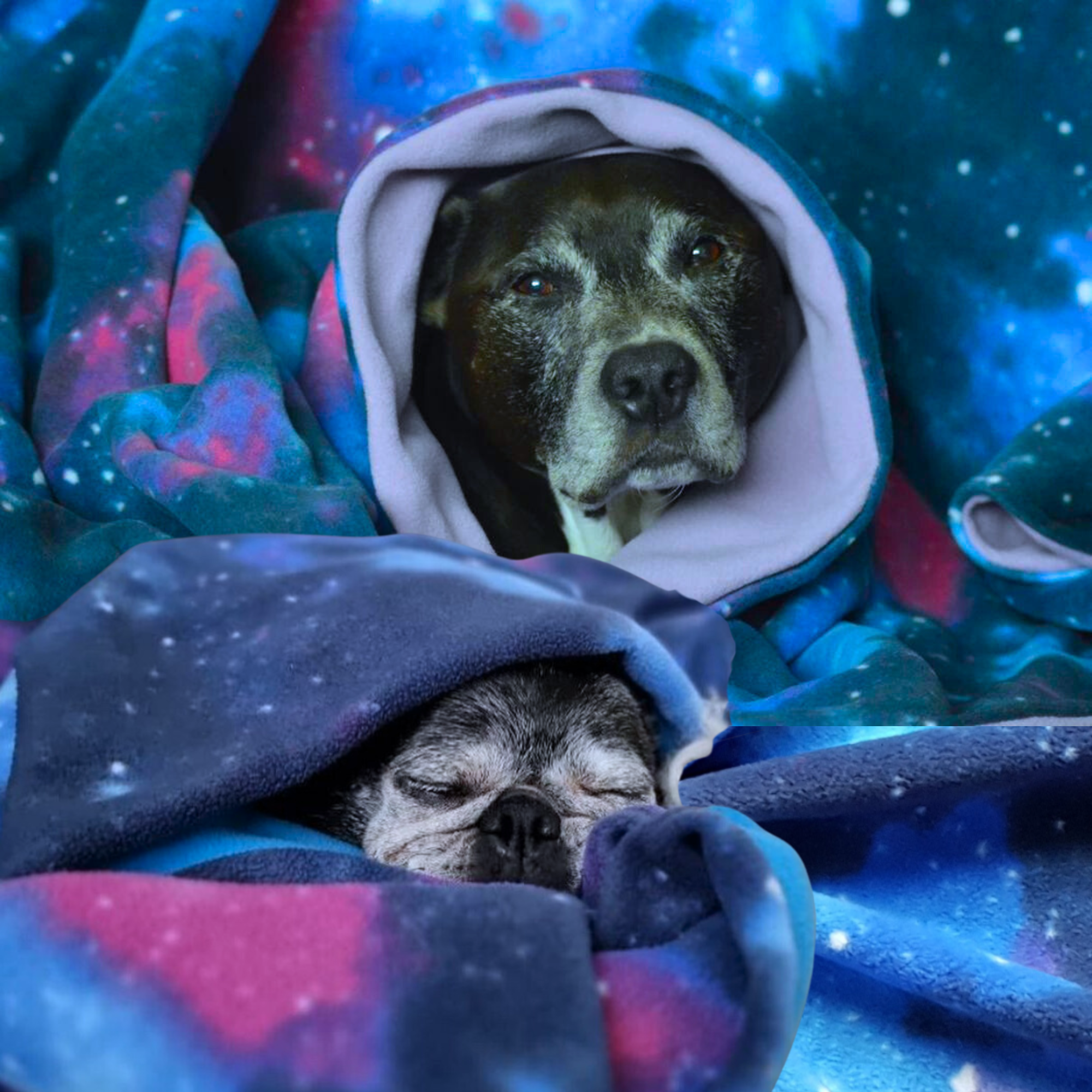 Polar Fleece (Anti-Pill)