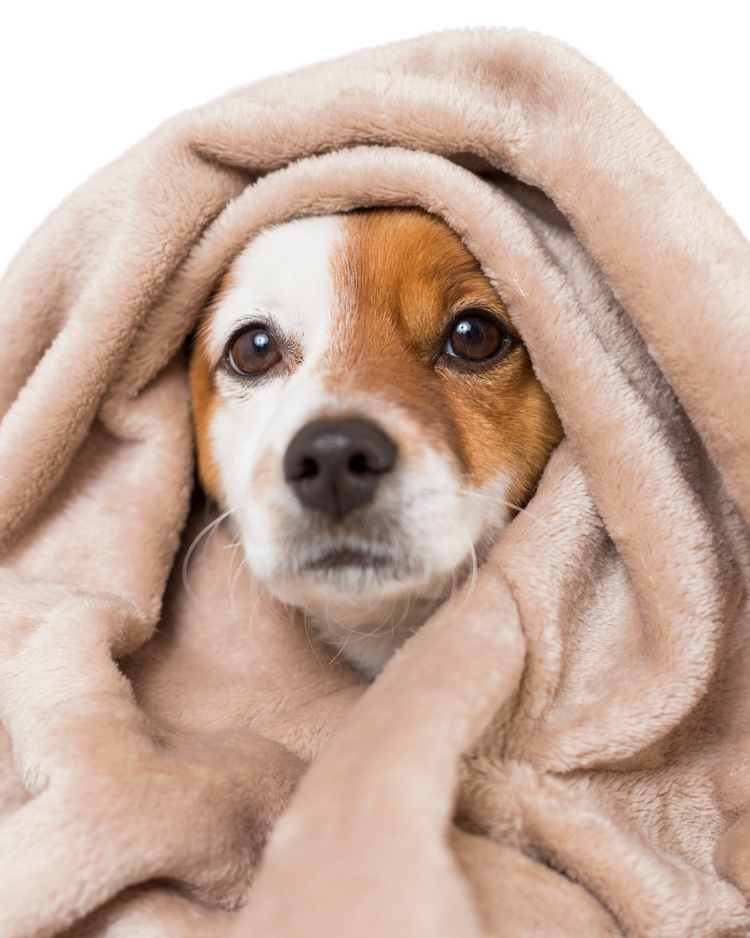 Fleece